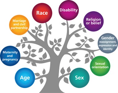 Protected characteristics tree outlining the areas included under EDI in the UK, namely: Age, Maternity & pregnancy, Marriage and civil partnership, Race, Disability, Religion, Gender identity, Sexual orientation and Sex.